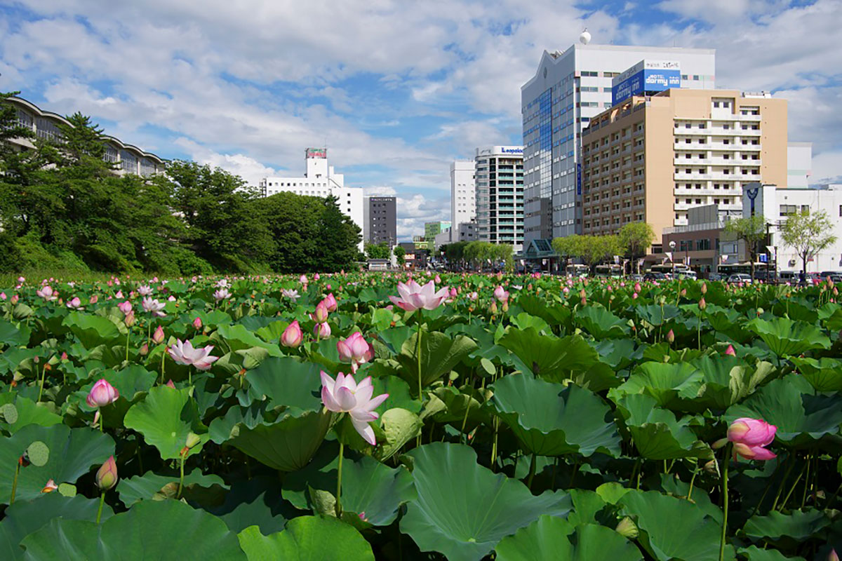 【移住支援紹介】～秋田県秋田市の充実した補助制度や体験ツアーで、移住希望者をバックアップ　前編～