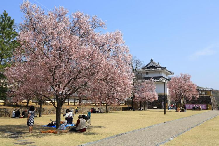 甲府城（舞鶴城公園）