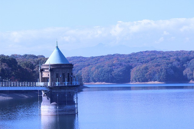 ▲季節によって表情を変える湖面と雑木林
（写真提供： ©所沢市まちづくり観光協会）