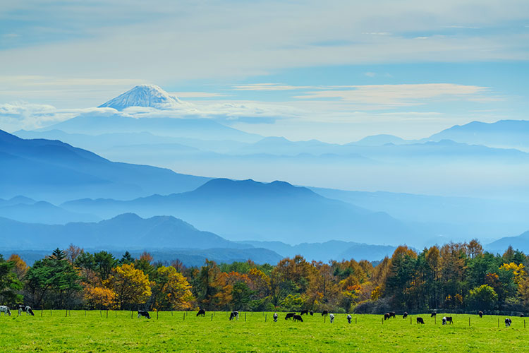 北杜市からの風景