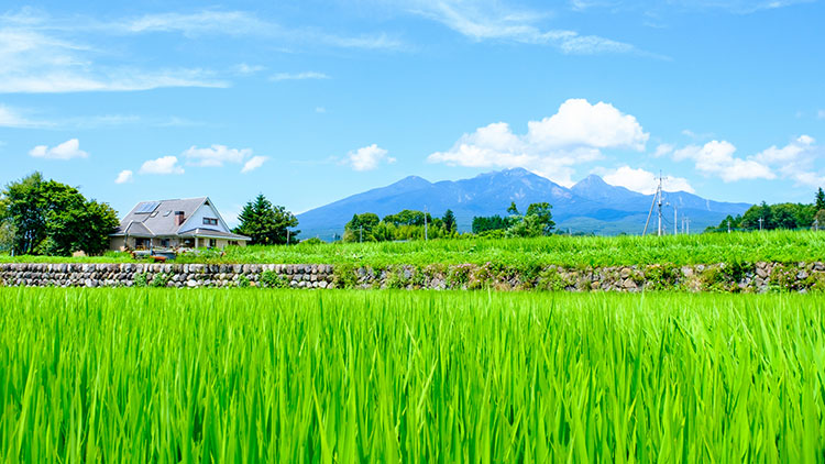 北杜市から望む八ヶ岳