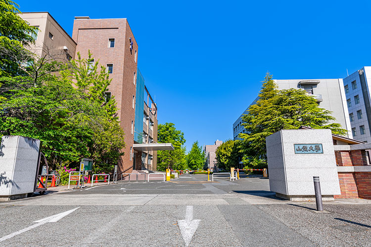 山梨大学