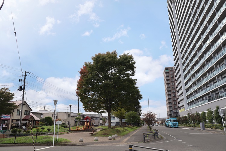 一戸建て住宅と高層マンションの間の公園は憩いの場になっている