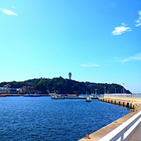 利便性も抜群！ 湘南の中心地「藤沢」の魅力