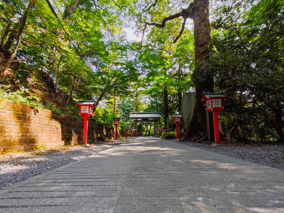 ▲1号路は気軽に登れる登山路