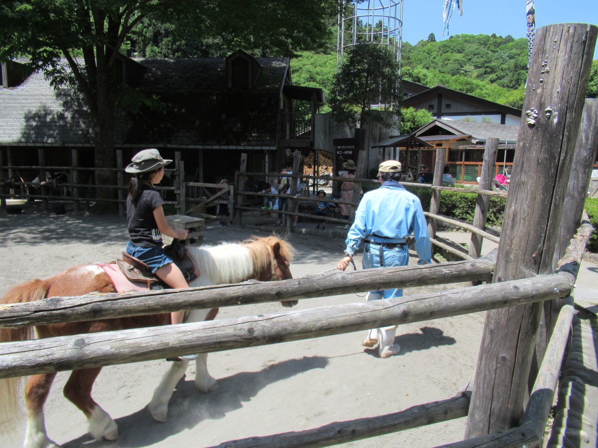 ▲ふれあい牧場ではポニーの乗馬体験ができる