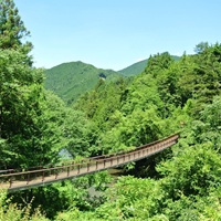 移住支援が充実。都心へ通勤しながら豊かな自然を感じる、あきる野市の住みやすさと治安を解説
