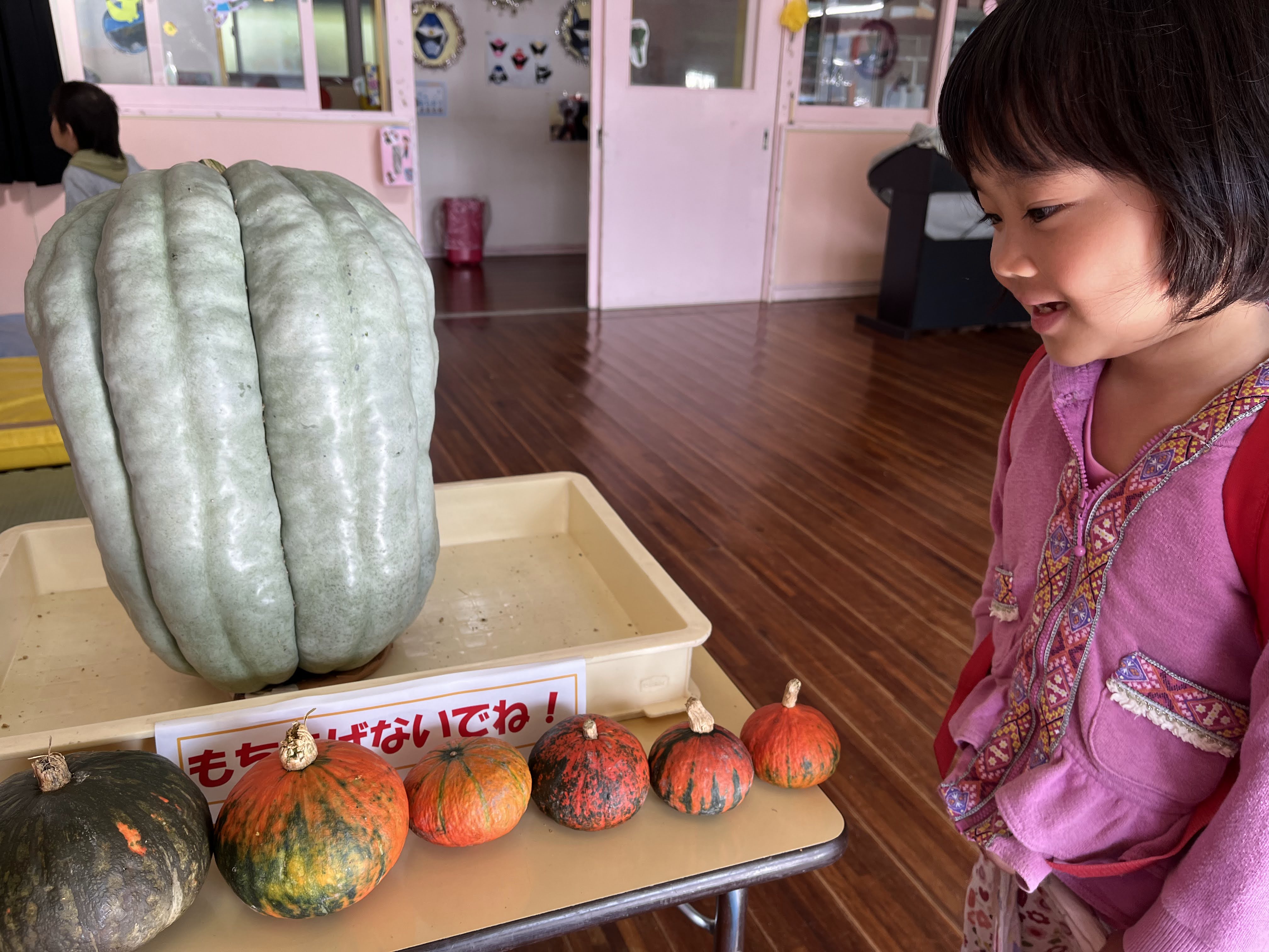 ユニークな形や色をしたかぼちゃに、子どもたちも興味津々