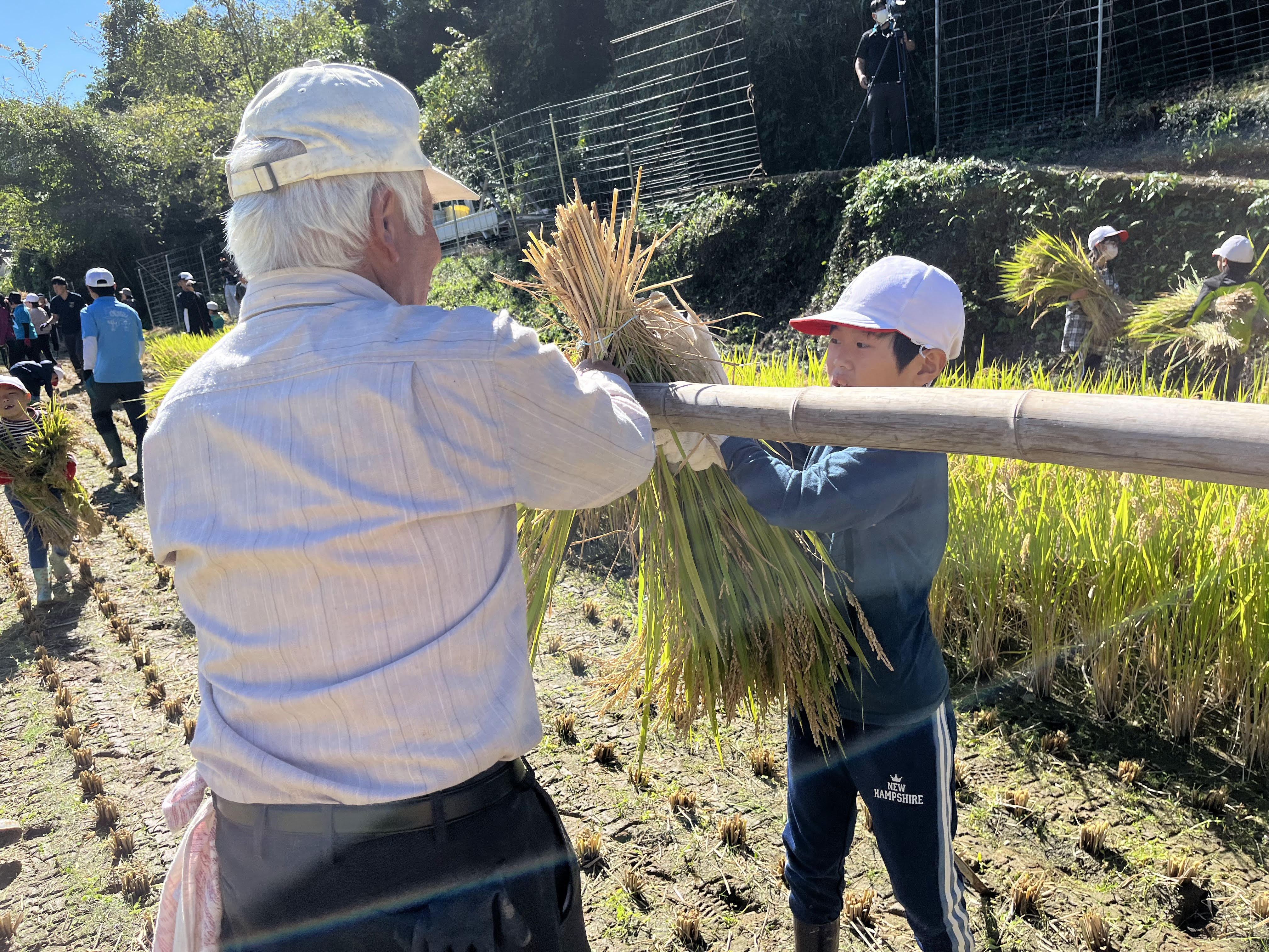 田植えや収穫の時季になると、子どもたちに農業や食への関心を深めてもらうため、小学校では農業体験が行われる