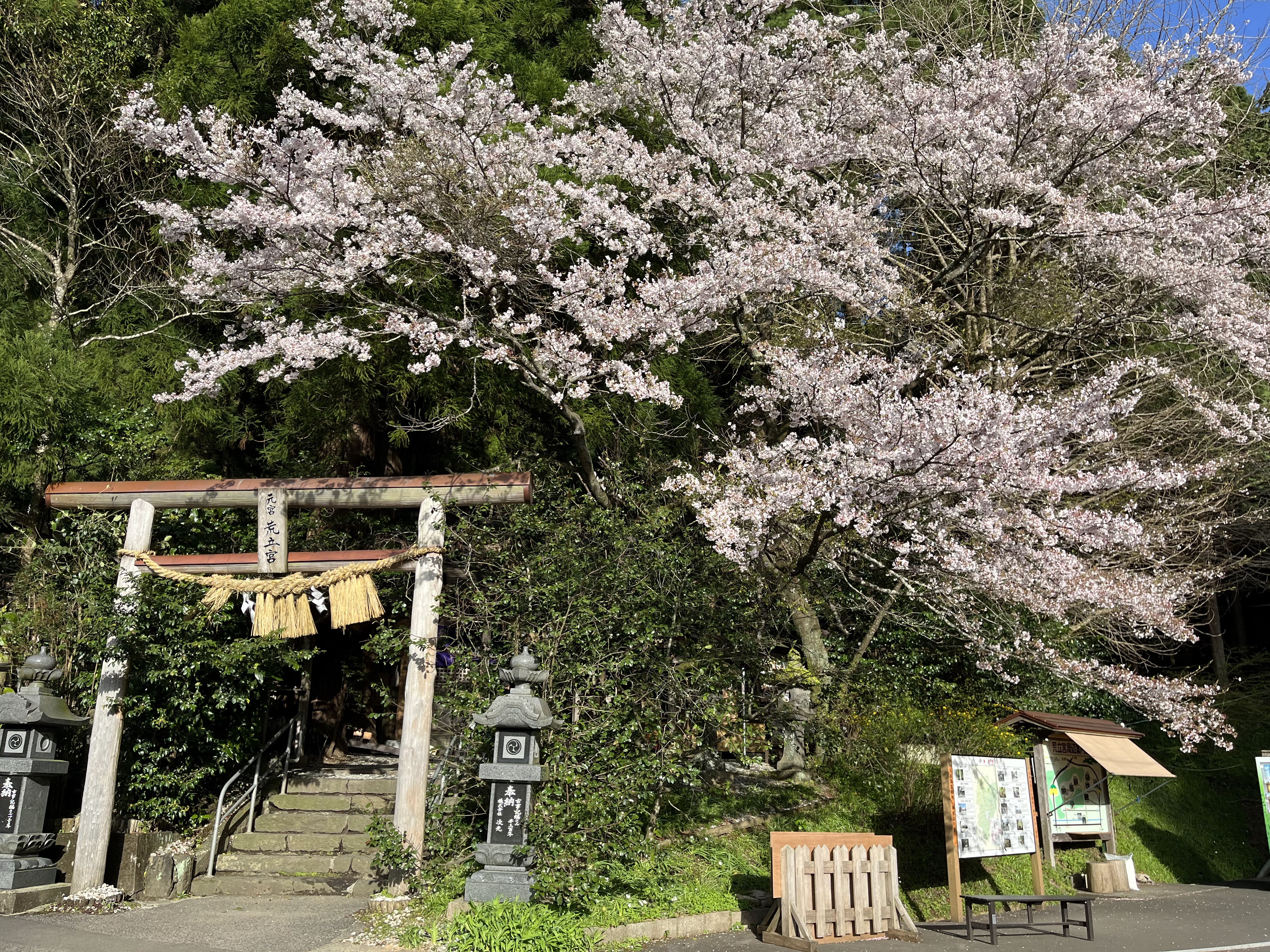 【私の移住ストーリー】～東京から宮崎県高千穂町にＵターン移住し、地域のためにできることに全力疾走～茨木いずみさんのケース