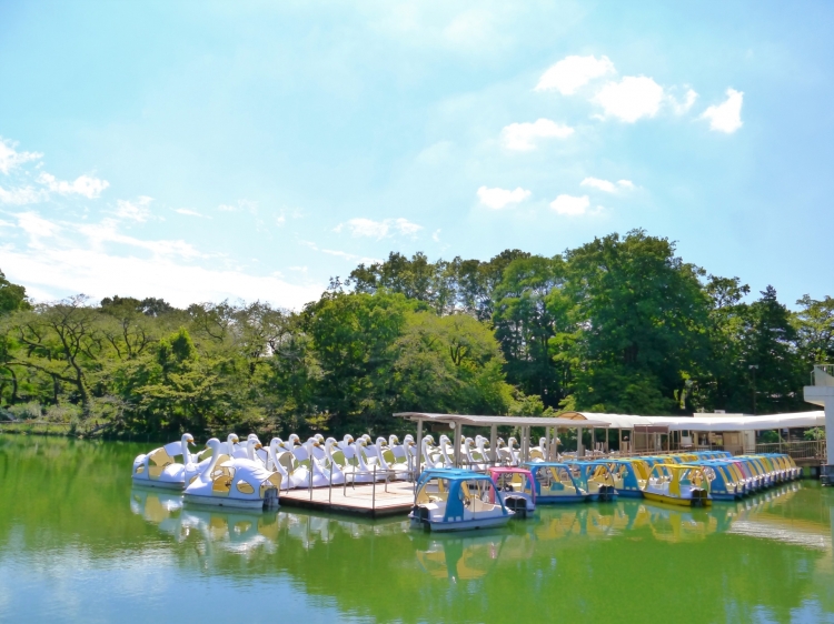 ▲ボート遊びが楽しい「井の頭恩賜公園」