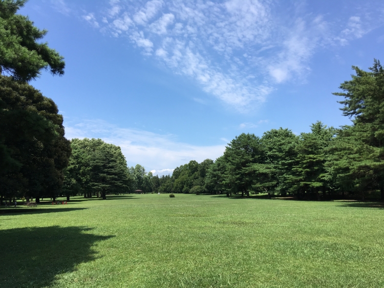 ▲あたたかい季節は芝生でピクニックをしても楽しい