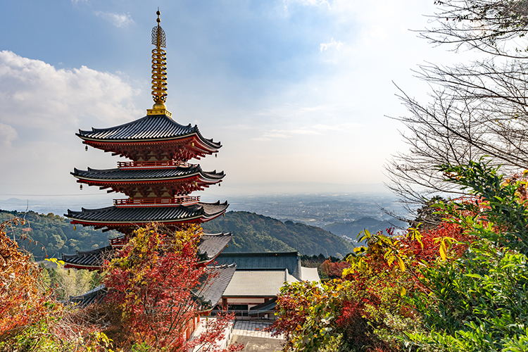 本福寺の五重塔