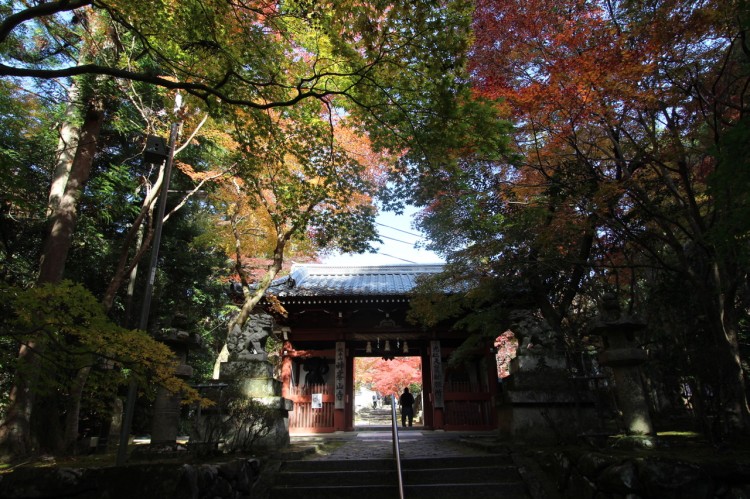 ▲山門をくぐると紅葉が美しい本堂が見える