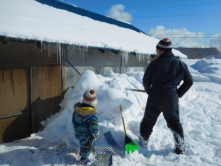 冬にはさまざまなウインターアクティビティを楽しめる。野生動物との遭遇も素敵な時間。雪深いまち、士別の冬は、積もる雪とともに始まる雪かきの日々。実徳くんも家族と一緒に雪下ろしの立派な戦力として大活躍