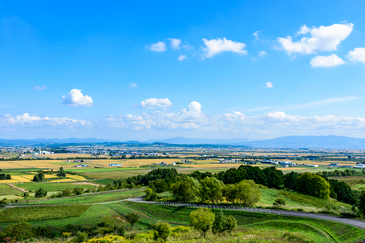 ＮＨＫ連続テレビ小説「すずらん」のロケ地にも使われた、北海道屈指の絶景ポイント「萌の丘」