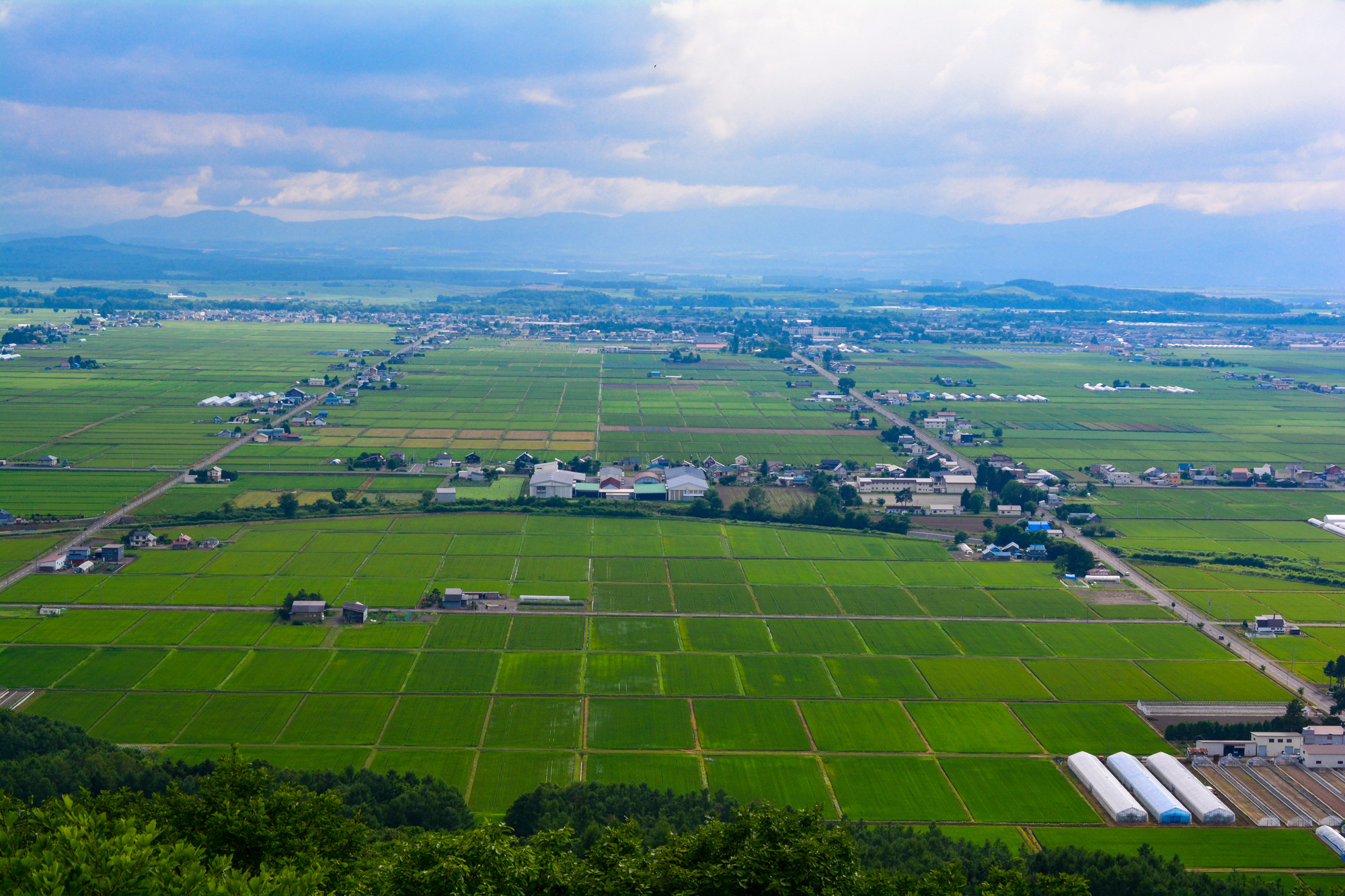 日本最大級の自然公園「大雪山国立公園」の区域の一部になっている、東川町の風景