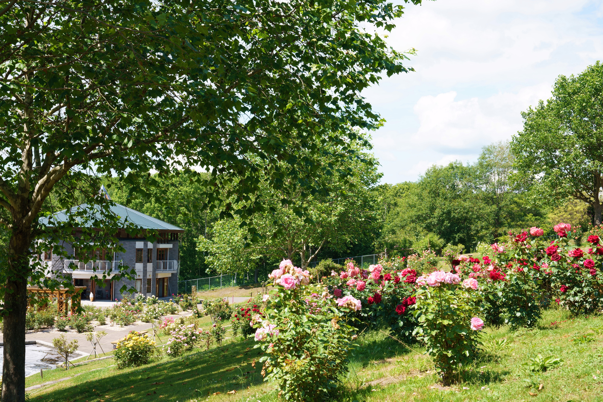 園内には、約300種類、約3,000株のバラが優雅に咲く「ローズガーデンちっぷべつ」