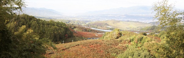 西吉野町の風景
画像提供：石井物産株式会社