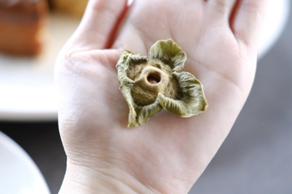 柿は捨てるところがない果物で、ヘタは漢方薬にも使われるのだとか。もったいないの精神が、ここにも垣間見える