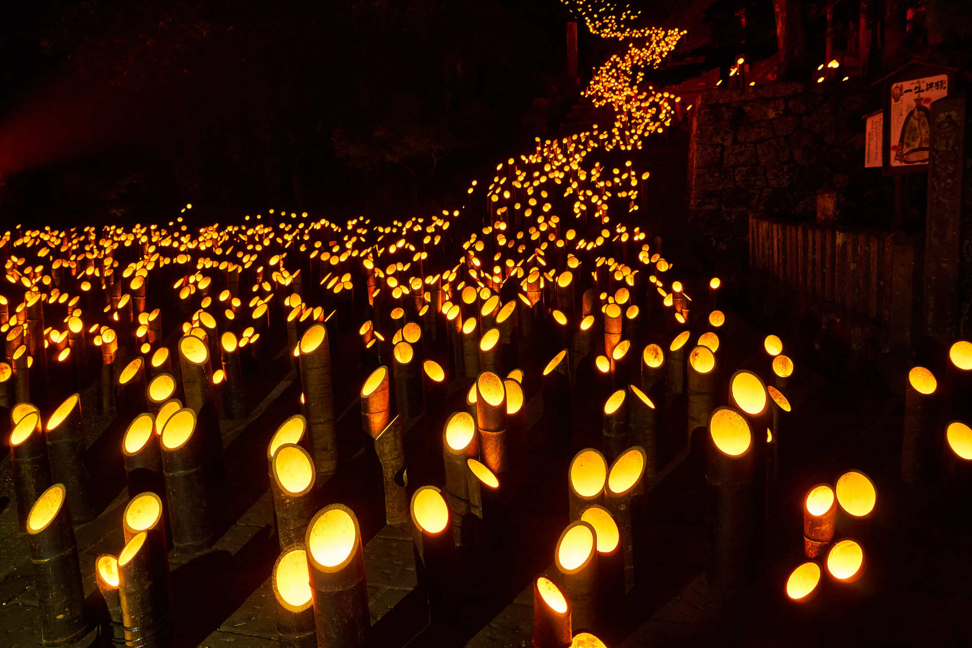 里山保全を目的にはじまった「たけた竹灯籠竹楽」