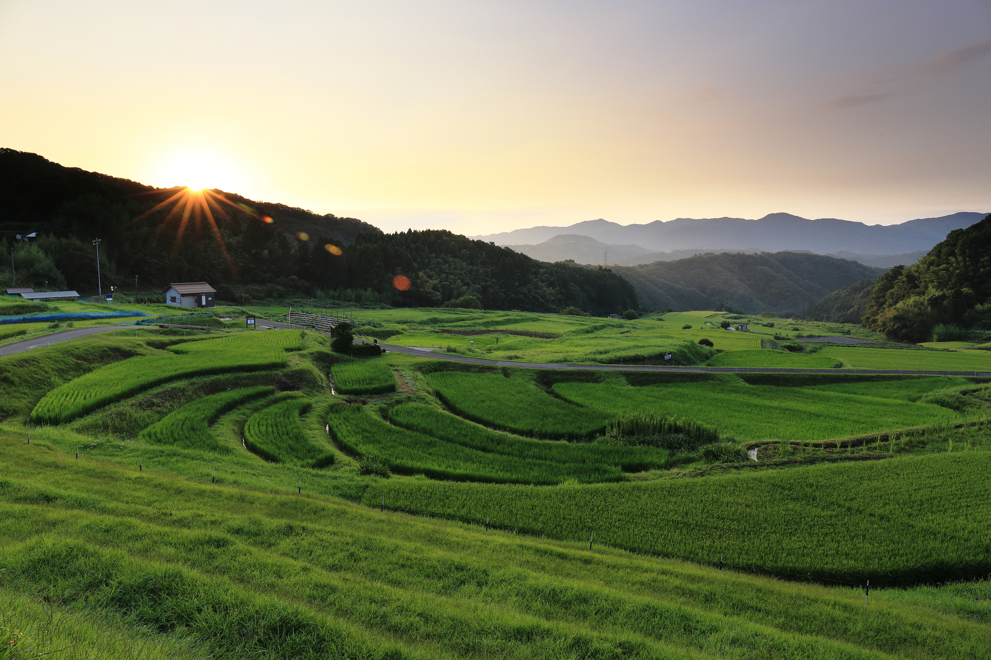 「日本の棚田百選」にも選ばれた山王寺の棚田