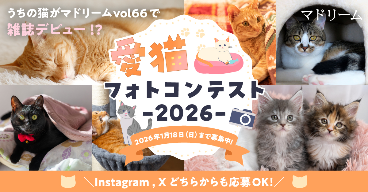 あなたの猫がマドリームvol.66で雑誌デビュー!? 愛猫フォトコンテスト2026を実施中