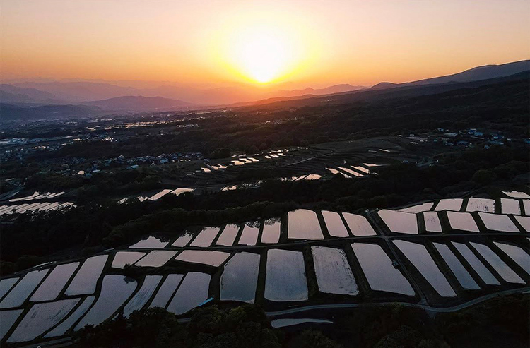 田んぼに広がる夕焼けの風景をドローンで捉えた、日髙さんお気に入りの場所