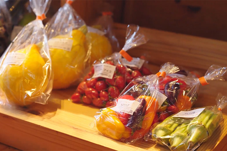 納品された新鮮な野菜たち