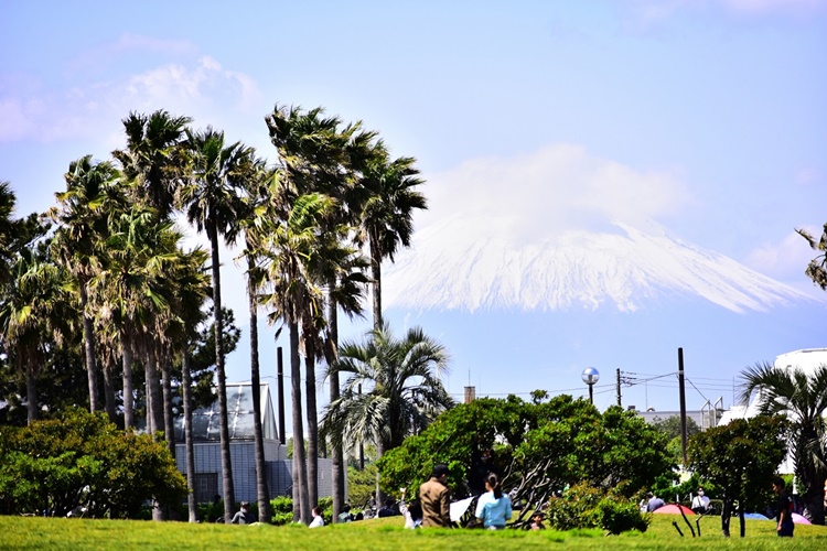 大人も子どもも楽しめる辻堂海浜公園。