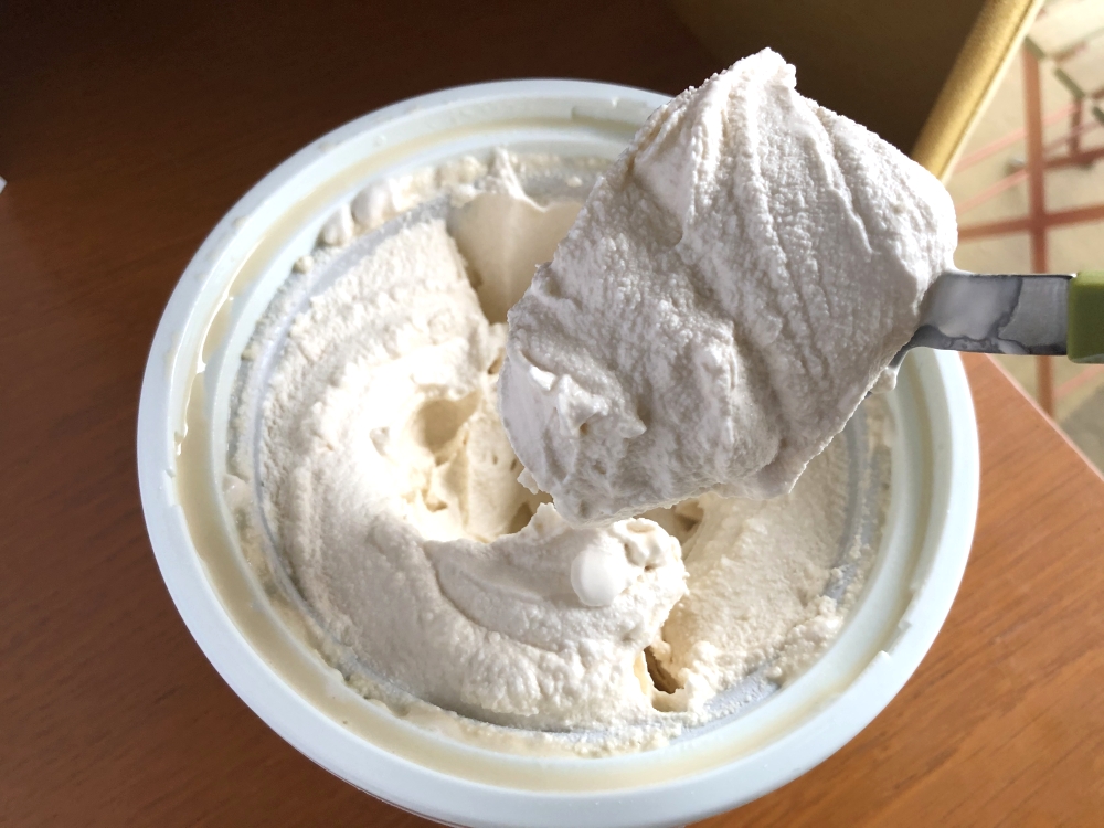 【自腹レビュー】おうちで濃厚バニラアイスはいかが？お手軽アイスクリームメーカー
