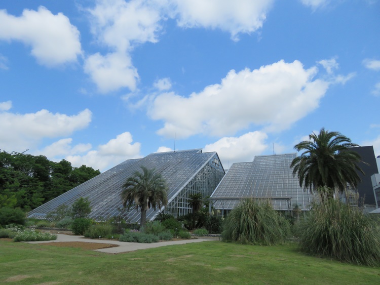 画像提供：国立科学博物館