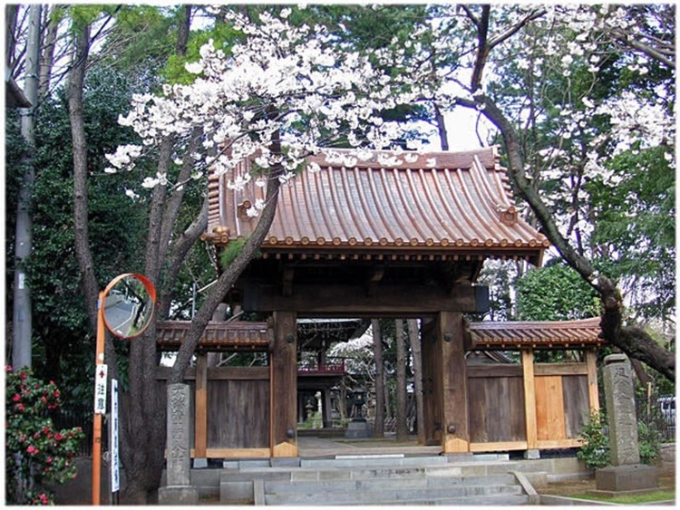 提供：泉龍寺