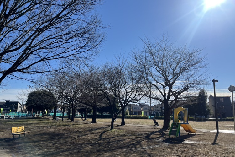 亀久保中央公園
