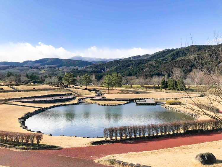 吾妻連峰の麓にある「あづま総合運動公園」。春は4,000本余りのサクラ、秋は黄色に色付いたイチョウを見ることができる