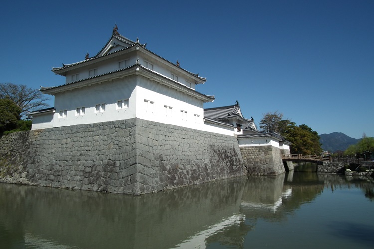 写真提供：公益財団法人 するが企画観光局