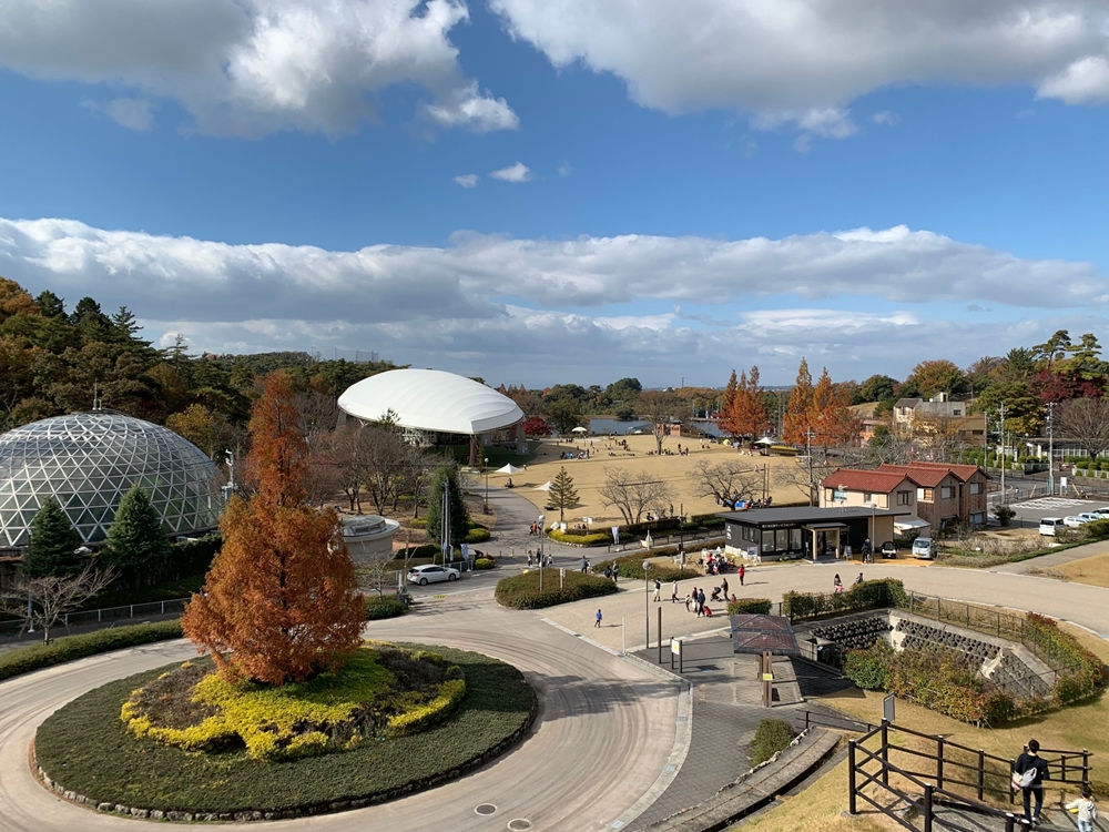 名古屋に次ぐ人口をかかえる産業と観光の中核都市・豊田市の住みやすさや治安情報をご紹介！