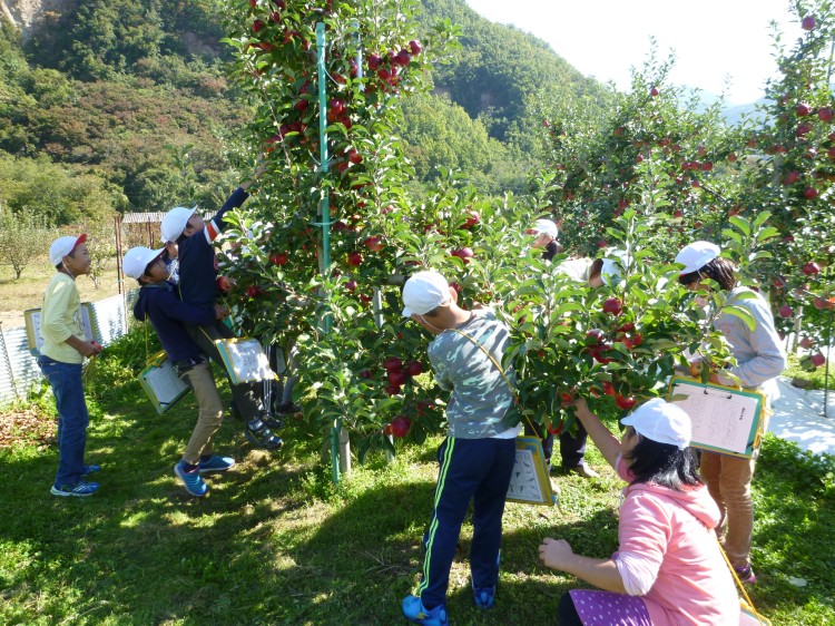 提供：（公財）ながの観光コンベンションビューロー