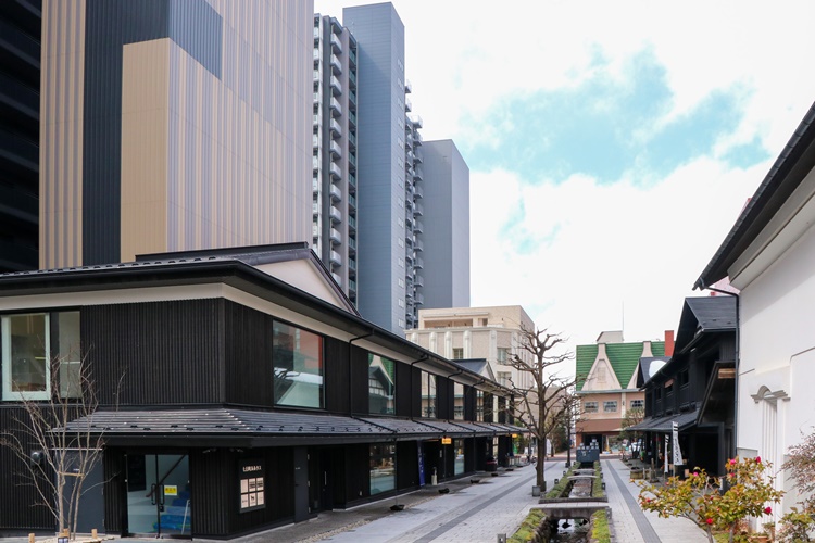 高層マンションに隣接する七日町ルルタス（左）と、御殿堰を挟んで向かいにある七日町御殿堰