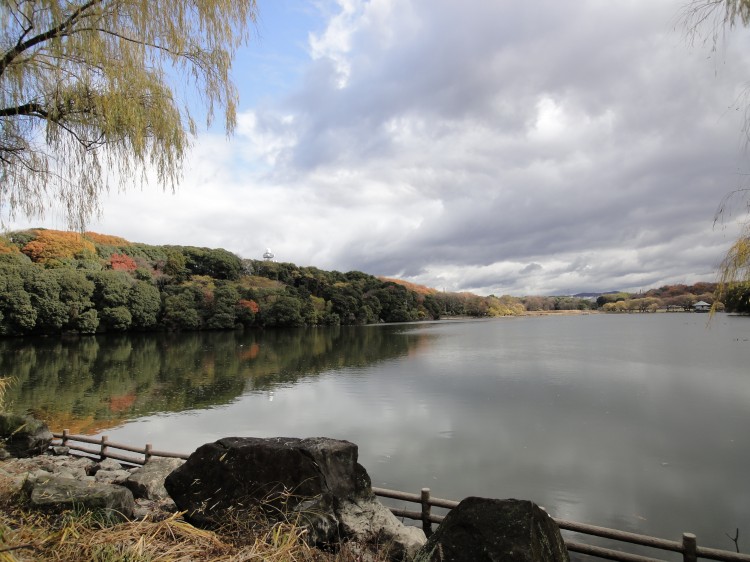 写真提供：枚方市