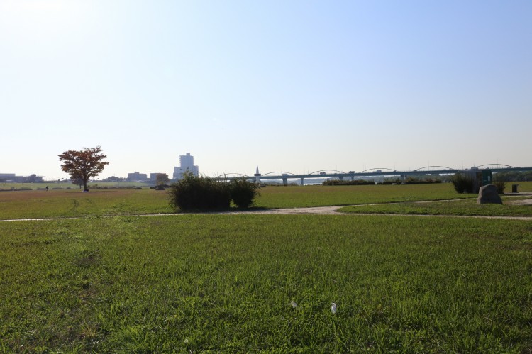 写真提供：枚方市
